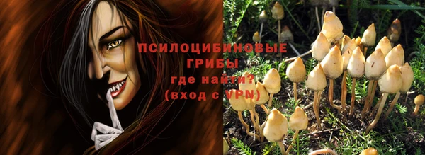 дурь Козловка
