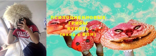 дурь Козловка