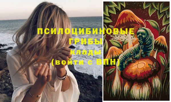крисы Кодинск
